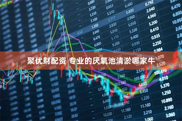 聚优财配资 专业的厌氧池清淤哪家牛